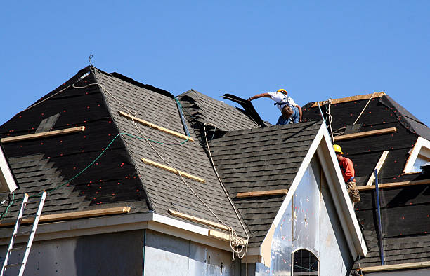 Best Flat Roof Repair Services  in Forest Lake, MN