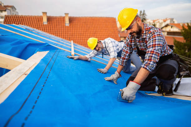 Quick and Trustworthy Emergency Roof Repair Services in Forest Lake, MN