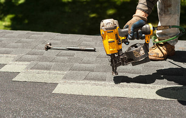 Best Metal Roofing Contractor  in Forest Lake, MN